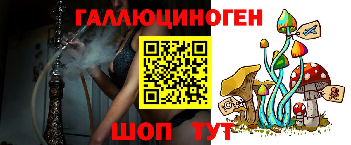 Санкт-Петербург  Псилоцибиновые грибы Psilocybe  Вход с VPN 